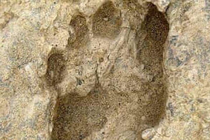 human footprints, 13,000 years ago, rtv