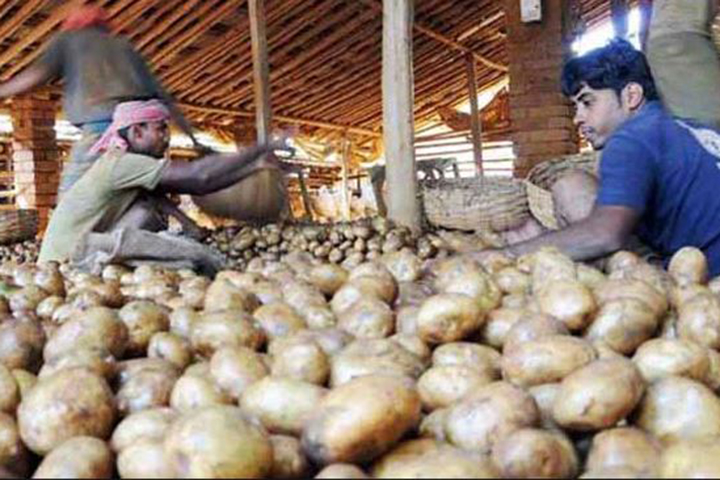 Potato prices, more or less, market, angry buyers