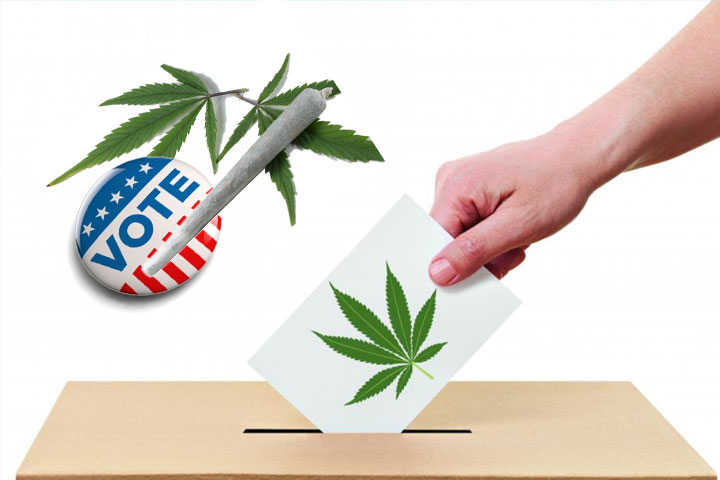 voting for cannabis
