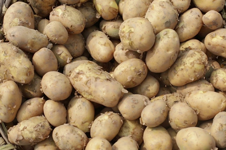 1 kg of potatoes cost 6 rupees 27 paise