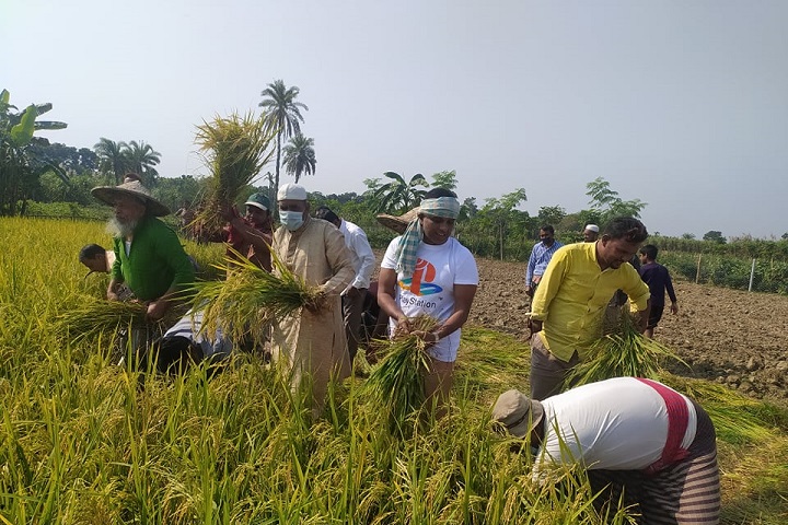 Farmers, are busy picking paddy, rtv news