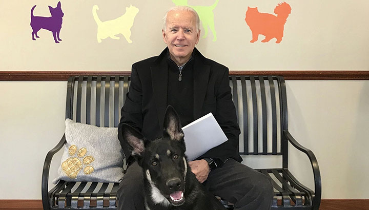 Jo Biden with Dog , Jo Biden, US President, USA