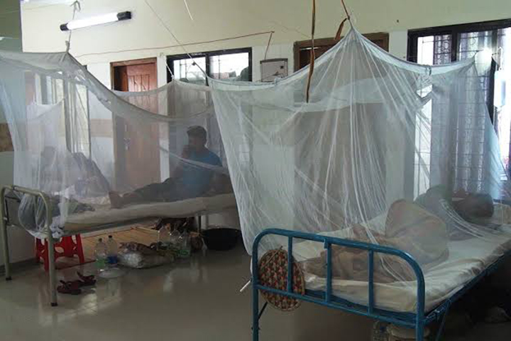 Another 22 dengue patients are hospitalized in the country in 24 hours