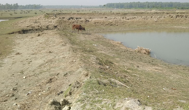Climate project in Hatia: Three-F model pond by name, not in reality