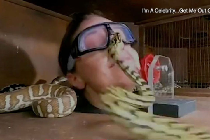 Australian woman bitten by a snake on a reality show