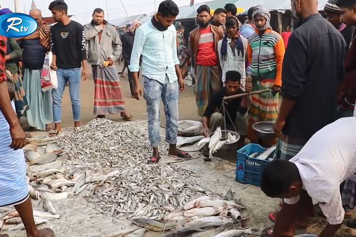 Fish worth crores of rupees is sold in Balikhola market every day