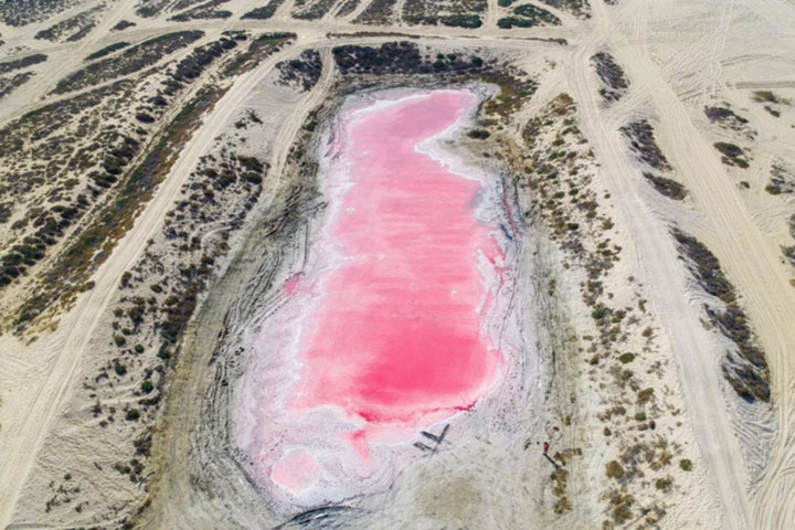 Pink lake discovered in UAE