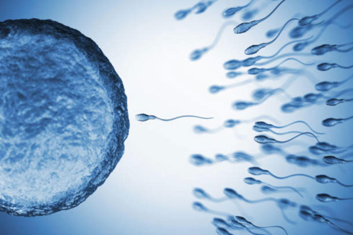 Covid-19 infection may reduce fertility in men says Study