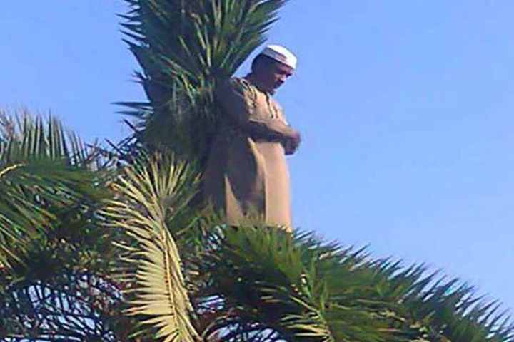 Pray by climbing a 30 feet high date palm tree