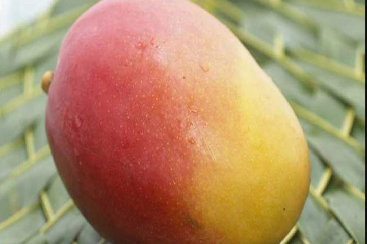 950 rupees for selling one mango in Waz Mahfil!