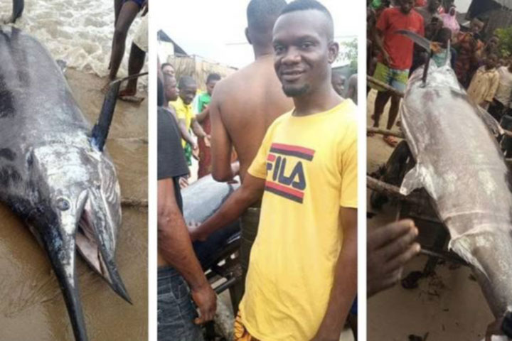 Man catches $2.6 million fish, eats it with friends