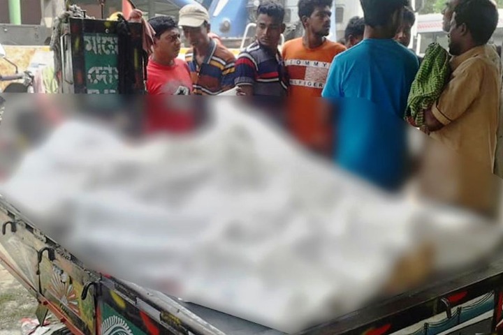 7 killed in truck-microbus collision in Faridpur