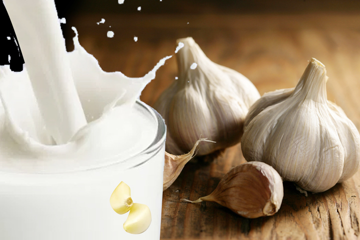 The magical benefits of drinking milk and garlic together, rtv