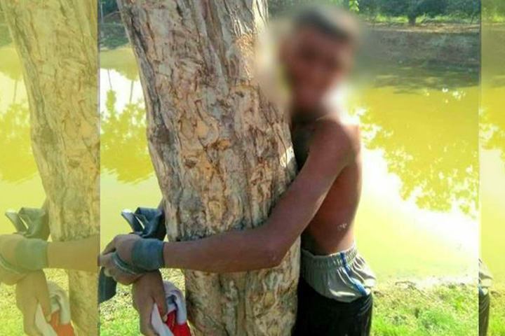 Pictures of child abuse tied to a tree for theft are viral,