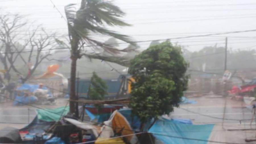Three people died when a tree hit them in Kalbaishakhi storm
