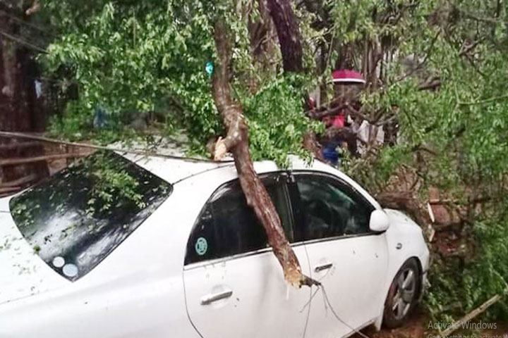 Kalbaishakhi storm broke the branches on the car, 5 people survived