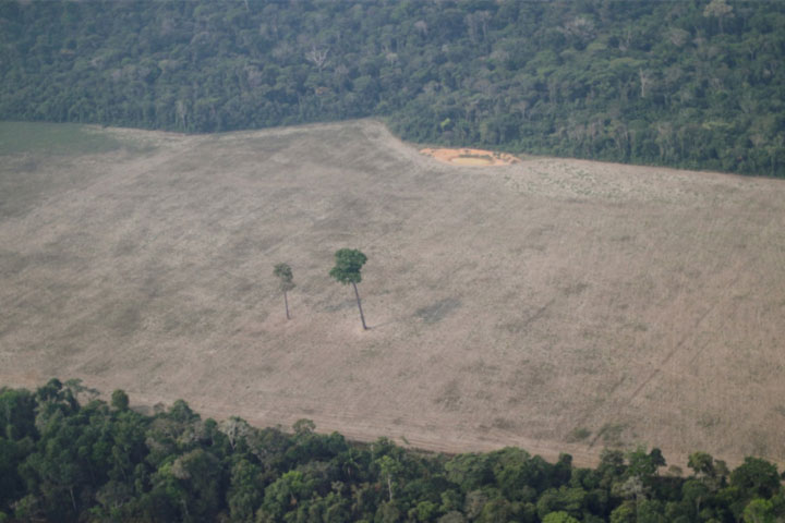 Brazil wants $1B in foreign aid to reduce Amazon deforestation, RTV