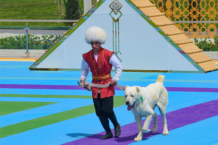 Turkmenistan now has a national holiday in honor of its 'wolf-crusher' dogs