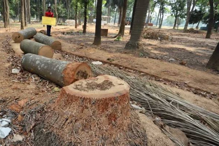 Writ to stop cutting down trees and construction of infrastructure in Suhrawardy Udyan