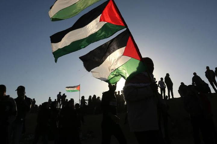 #PrayforPalestine, #Palestine #GazzaUnderAttack #FreePalestine, rtv online, palestine israel border CARTOON    