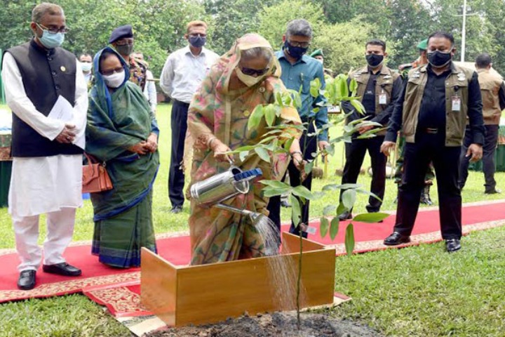 The Prime Minister called upon everyone to plant at least 3 trees