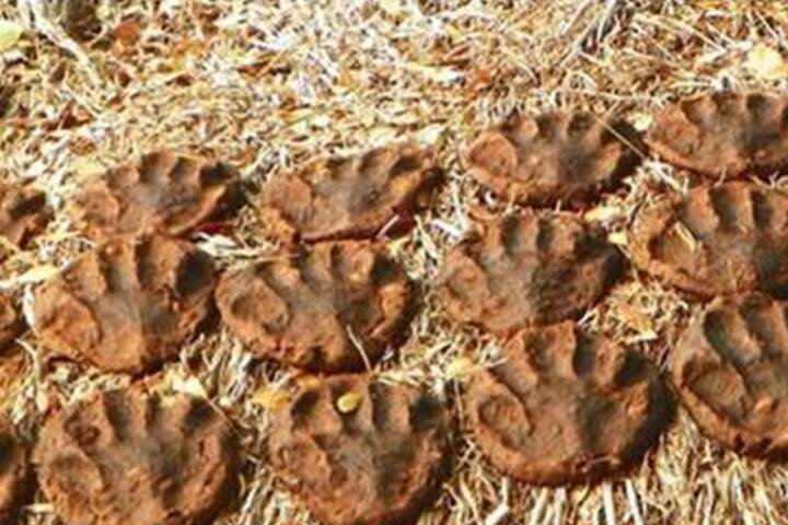 4 in UP die after inhaling toxic gas released by dung cakes