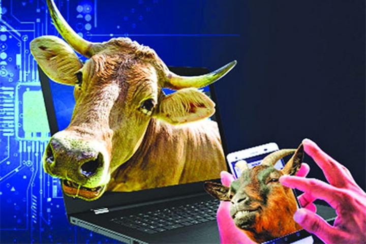 About 200 crore worth of animals are sold online daily