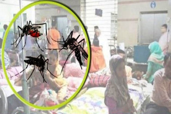 More than a thousand dengue patients were identified in 22 days