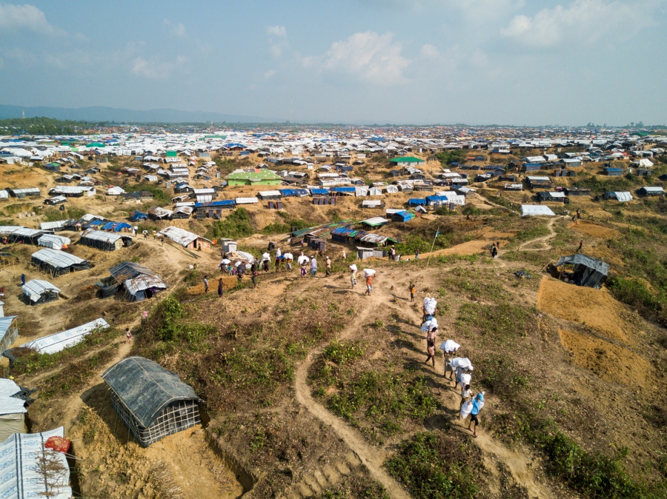 Momen hopeful of relocating 1 lakh Rohingyas to Bhasan Char in one year