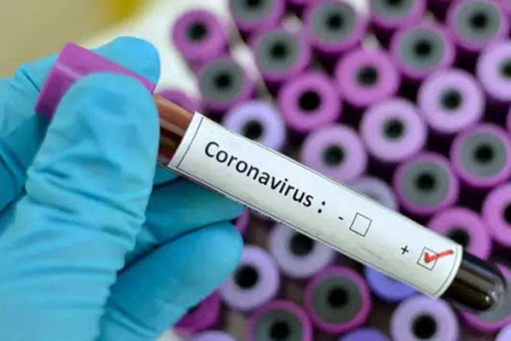 WHO warns of ‘very high’ Omicron risk as Covid surges worldwide