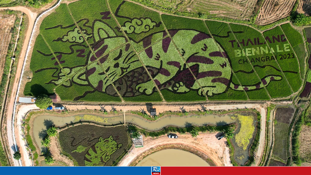 Thai farmer creates cat-themed art in his rice field