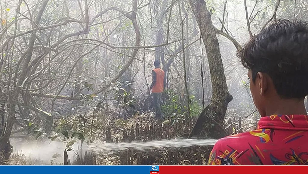Sundarbans fire under control: Ministry